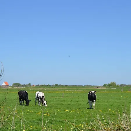 Hojer Vakantiehuis *